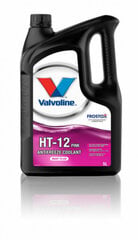 Антифриз Valvoline Ht-12 Afc Pink, 5 л цена и информация | Очищающие и охлаждающие жидкости | pigu.lt