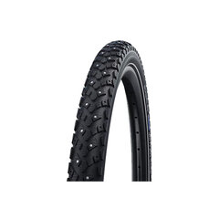 Padanga 28" Schwalbe Winter HS 396, Active Wired 42-622 Black-Reflex kaina ir informacija | Dviračių kameros ir padangos | pigu.lt