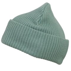 Шапка Cappa Hoppa 308075 16-5917, зеленая цена и информация | Мужские шарфы, шапки, перчатки | pigu.lt