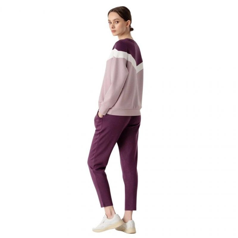 Džemperis moterims 4F W H4Z21 BLD025 52S, violetinis kaina ir informacija | Džemperiai moterims | pigu.lt