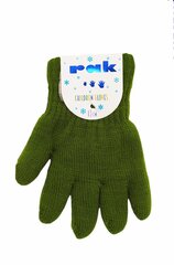 Утепленные детские перчатки Rak R-011DB, зеленые цена и информация | Зимняя одежда для детей | pigu.lt