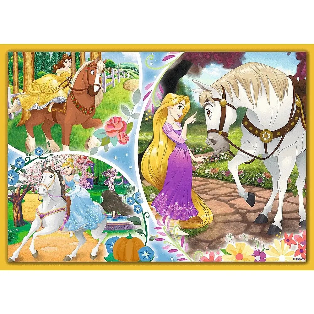 4 dėlionių rinkinys „Princesės“ Trefl kaina ir informacija | Dėlionės (puzzle) | pigu.lt