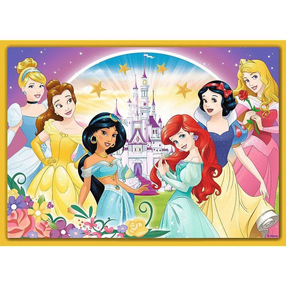 4 dėlionių rinkinys „Princesės“ Trefl kaina ir informacija | Dėlionės (puzzle) | pigu.lt