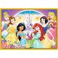 4 dėlionių rinkinys „Princesės“ Trefl kaina ir informacija | Dėlionės (puzzle) | pigu.lt