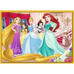 4 dėlionių rinkinys „Princesės“ Trefl kaina ir informacija | Dėlionės (puzzle) | pigu.lt