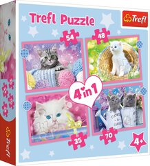 4 dėlionių rinkinys „Kačiukai“ Trefl kaina ir informacija | Dėlionės (puzzle) | pigu.lt