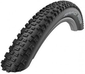 Dviračio padanga 29" Schwalbe Rapid Rob 57-622 B/B-SK HS425 SBC 50EPI kaina ir informacija | Dviračių kameros ir padangos | pigu.lt