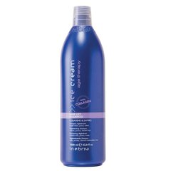 Šampūnas pažeistiems plaukams Inebrya Ice Cream Age Therapy, 1000 ml kaina ir informacija | Šampūnai | pigu.lt
