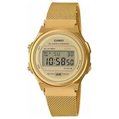 Casio Vintage unisex часы цена и информация | Женские часы | pigu.lt