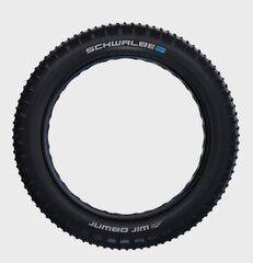 Padanga 26" Schwalbe Jumbo Jim kaina ir informacija | Dviračių kameros ir padangos | pigu.lt