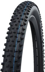 Dviračio padanga 29" Schwalbe Rocket Ron HS 438, Evo Fold. 57-622 Super Ground Addix SpeedGrip цена и информация | Покрышки, шины для велосипеда | pigu.lt