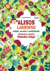 Alisos labirintai. Ieškok, surask ir suskaičiuok! цена и информация | Развивающие книги | pigu.lt