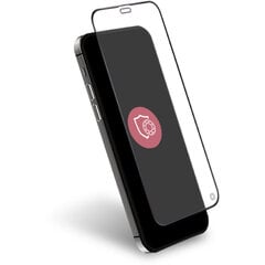 Ekrano apsauga iPhone 12 BigBen FGOGIP1261ORIG kaina ir informacija | Apsauginės plėvelės telefonams | pigu.lt