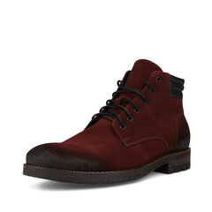 Обувь мужская Nicolo Ferretti 7078270, красные цена и информация | Мужские ботинки | pigu.lt