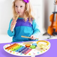 Деревянный музыкальный центр Tooky Toy цена и информация | Развивающие игрушки | pigu.lt