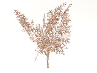 Искусственные листья папоротника цена и информация | Искусственные цветы | pigu.lt