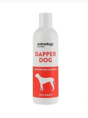 ANIMOLOGY шампунь для собак DAPPER DOG TUTTI-FRUTTI 250 мл цена и информация | Косметические средства для животных | pigu.lt