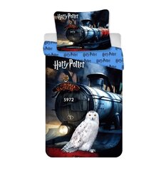 Комплект постельного белья  Harry Potter 111 HP, 140 x 200 см + наволочка 70 x 90 см цена и информация | Комплекты постельного белья | pigu.lt