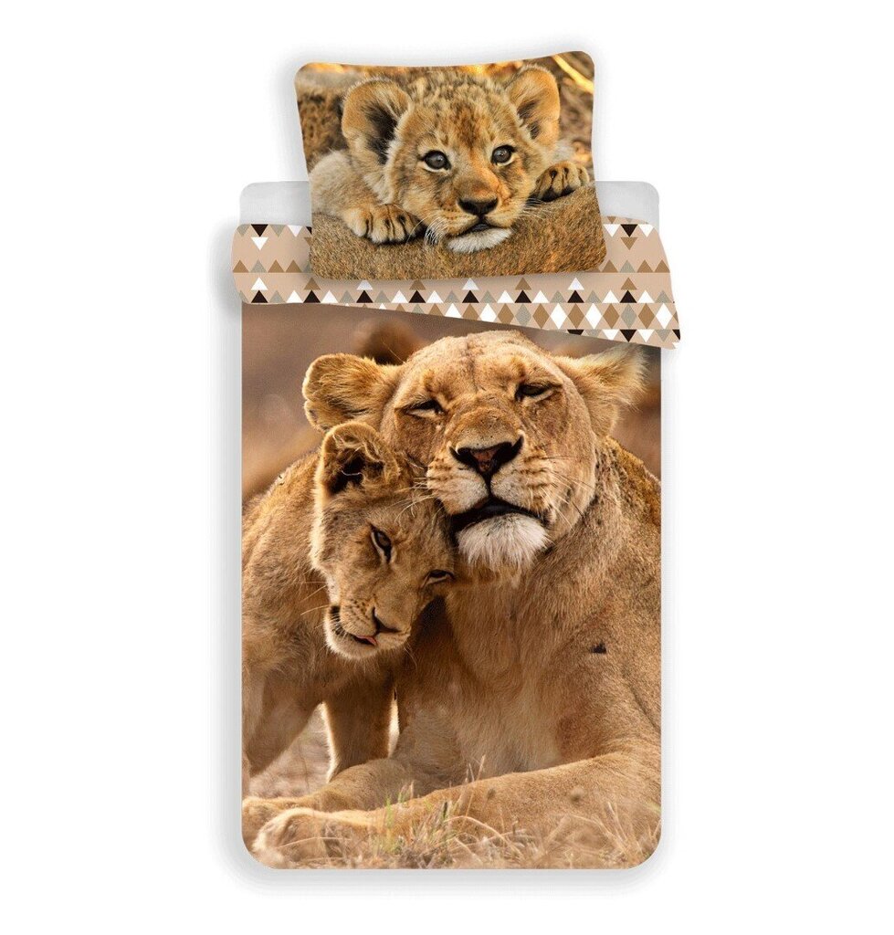 Patalynės komplektas Lion Cubs 140 x 200 cm + pagalvės užvalkalas 70 x 90 cm kaina ir informacija | Patalynės komplektai | pigu.lt