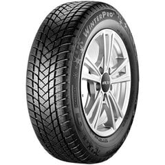 GT Radial Winterpro 2 205/55R16 91H kaina ir informacija | Žieminės padangos | pigu.lt