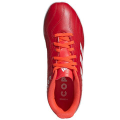 Sportiniai bateliai vaikams Adidas Copa Sense 4 IN Jr FY6162, raudoni kaina ir informacija | Sportiniai batai vaikams | pigu.lt