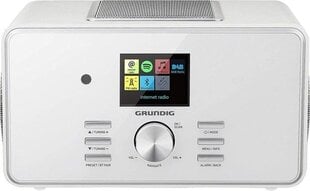 Grundig GIR1080 kaina ir informacija | Radijo imtuvai ir žadintuvai | pigu.lt