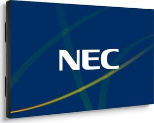 NEC 60004524 цена и информация | Мониторы | pigu.lt