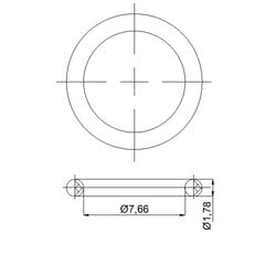 Прокладка для соединительных шлангов смесителя 7,66x1,78, 632060 RUBINETA цена и информация | Аксессуары для душа, смесителей | pigu.lt