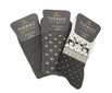 Frotinės termo kojinės moterims Footstar Thermo 68305, 3 poros, pilkos kaina ir informacija | Moteriškos kojinės | pigu.lt
