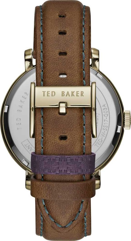 Vyriškas laikrodis Ted Baker TE15193006 kaina ir informacija | Vyriški laikrodžiai | pigu.lt