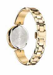 Moteriškas laikrodis Versace VECQ00618 kaina ir informacija | Moteriški laikrodžiai | pigu.lt