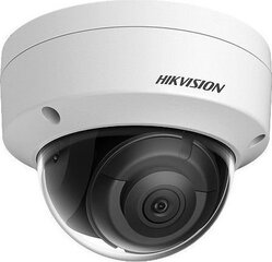 Камера видеонаблюдения Hikvision 311315958 цена и информация | Камеры видеонаблюдения | pigu.lt