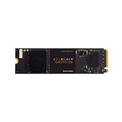 WD WDS250G1B0E kaina ir informacija | Vidiniai kietieji diskai (HDD, SSD, Hybrid) | pigu.lt