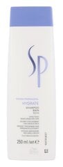 Drėkinantis šampūnas plaukams Wella Professionals SP Hydrate 250 ml kaina ir informacija | Šampūnai | pigu.lt