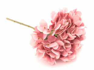 Гортензия цена и информация | Искусственные цветы | pigu.lt