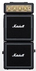 Mini stiprintuvas elektrinei gitarai Marshall MS-4B kaina ir informacija | Priedai muzikos instrumentams | pigu.lt