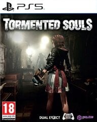 PS5 Tormented Souls цена и информация | Компьютерные игры | pigu.lt