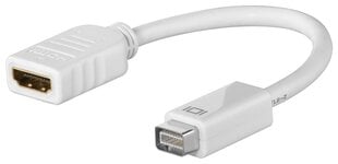 Мини DVI-HDMI, 0,1 м цена и информация | Адаптеры, USB-разветвители | pigu.lt