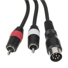 Автомобильный цифровой кабель Peiying PY-EM02 Panasonic цена и информация | Автопринадлежности | pigu.lt