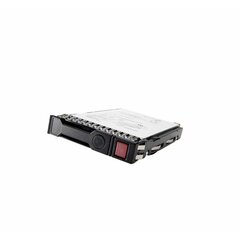 HPE R0Q47A цена и информация | Внутренние жёсткие диски (HDD, SSD, Hybrid) | pigu.lt