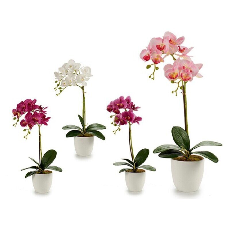 Dirbtinė orchidėja kaina ir informacija | Dirbtinės gėlės | pigu.lt