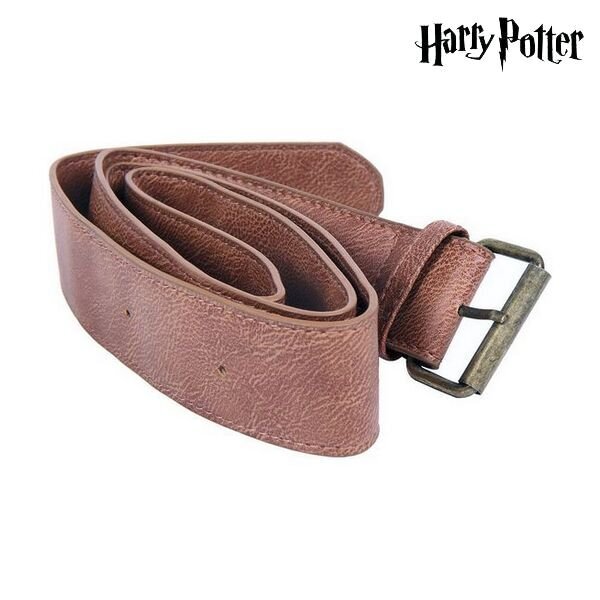 Harry Potter S0725267 kaina ir informacija | Žaidėjų atributika | pigu.lt