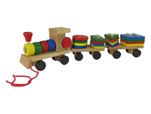 Medinis traukinukas vaikams kaina ir informacija | Žaislai kūdikiams | pigu.lt