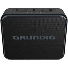 Grundig GLR7746 2500 цена и информация | Аудиоколонки | pigu.lt