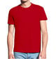Vyriški marškinėliai Elektrikas, raudoni цена и информация | Vyriški marškinėliai | pigu.lt