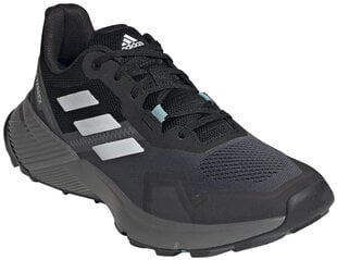 Мужские кеды Adidas Terrex Soulstride W Black Grey FY9256/5.5 цена и информация | Кроссовки для мужчин | pigu.lt