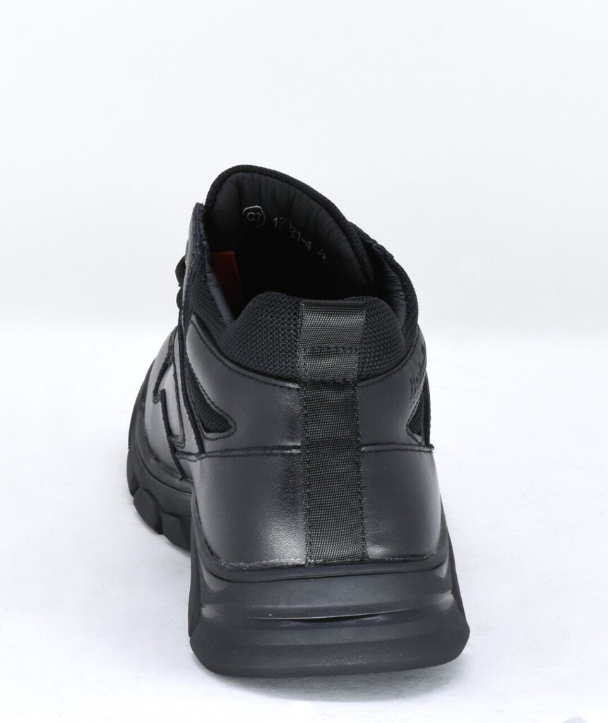 Batai vyrams TF'S 16212521.45 kaina ir informacija | Vyriški batai | pigu.lt