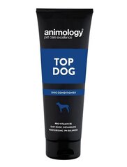 Animology kondicionierius šunims Top Dog, 250 ml kaina ir informacija | Kosmetinės priemonės gyvūnams | pigu.lt