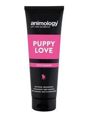 ANIMOLOGY шампунь PUPPY LOVE 250 мл. цена и информация | Косметические средства для животных | pigu.lt