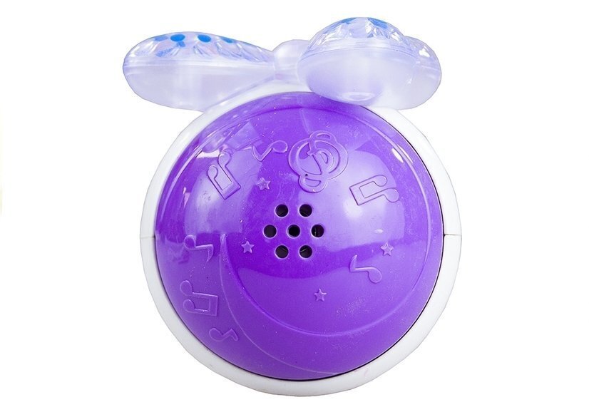 Vaikiškas mikrofonas su MP3 kaina ir informacija | Lavinamieji žaislai | pigu.lt